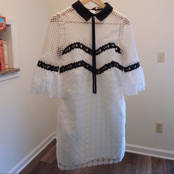 Bell Sleeve Tie Collar Lace Mini Dress - Picture 5 of 5